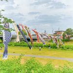 青い鯉のぼりプロジェクト 、印場橋、4月春、愛知県尾張旭市の観光・撮影スポットの画像と写真