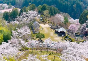 蘭丸のふるさと、さくら、4月春の花、岐阜県可児市の観光・撮影スポットの名所