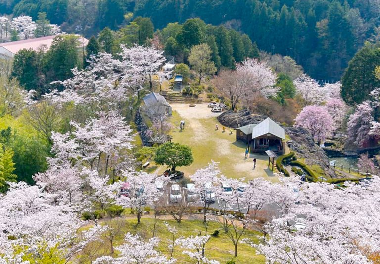 蘭丸 ふる里 の 森