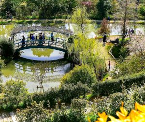 レッドヒルヒーサーの森、4月春の花、三重県津市の観光・撮影スポットの画像と写真