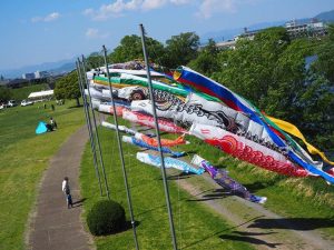 境川緑道公園、鯉のぼり、5月の夏、岐阜県岐阜市柳津の観光・撮影スポットの名所