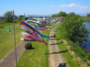 境川緑道公園、鯉のぼり、5月の夏、岐阜県岐阜市柳津の観光・撮影スポットの名所