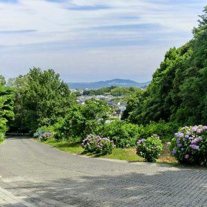 三ヶ根山スカイライン、あじさいロード、6月、愛知県西尾市の観光・撮影スポットの画像と写真