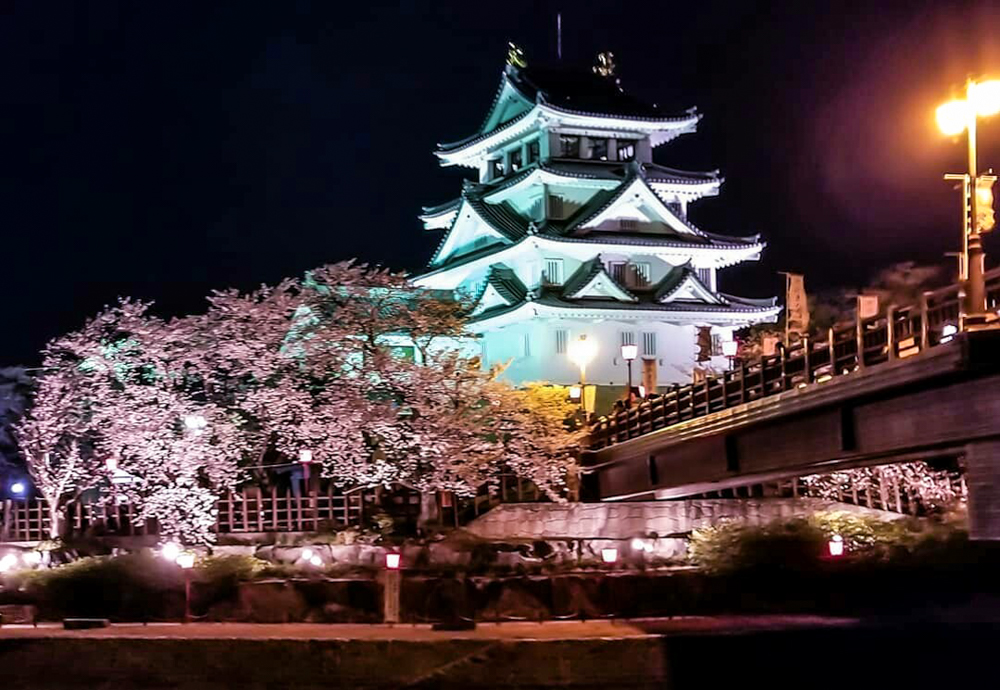 墨俣一夜城、夜桜、ライトアップ、４月春の花、岐阜県大垣市の観光・撮影スポットの画像と写真