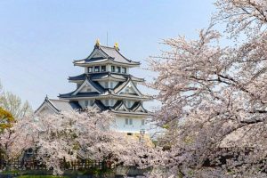 墨俣一夜城、さくら、4月春の花、岐阜県大垣市の観光・撮影スポットの画像と写真