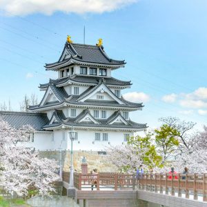 墨俣一夜城、さくら、4月春の花、岐阜県大垣市の観光・撮影スポットの画像と写真