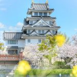 墨俣一夜城、さくら、4月春の花、岐阜県大垣市の観光・撮影スポットの画像と写真