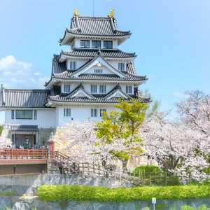墨俣一夜城、さくら、4月春の花、岐阜県大垣市の観光・撮影スポットの画像と写真