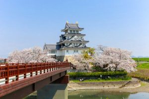 墨俣一夜城、さくら、4月春の花、岐阜県大垣市の観光・撮影スポットの画像と写真