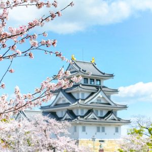墨俣一夜城、さくら、4月春の花、岐阜県大垣市の観光・撮影スポットの画像と写真
