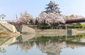 墨俣一夜城、さくら、4月春の花、岐阜県大垣市の観光・撮影スポットの画像と写真