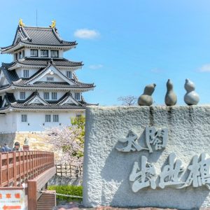 墨俣一夜城、さくら、4月春の花、岐阜県大垣市の観光・撮影スポットの画像と写真
