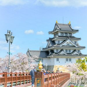 墨俣一夜城、さくら、4月春の花、岐阜県大垣市の観光・撮影スポットの画像と写真