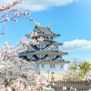 墨俣一夜城、さくら、4月春の花、岐阜県大垣市の観光・撮影スポットの画像と写真