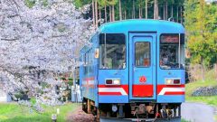 谷汲口駅、樽見鉄道、桜、4月春、岐阜県揖斐郡の観光・撮影スポットの画像と写真