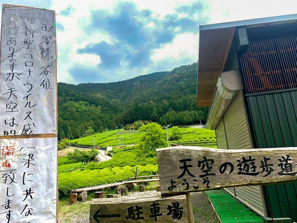 岐阜のマチュピチュ天空の茶畑、５月夏、岐阜県揖斐郡の観光・撮影スポットの画像と写真