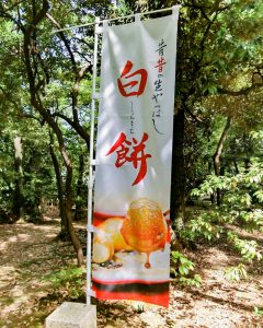 八橋のかきつばた、無量寿寺、5月の夏の花、愛知県知立市の観光・撮影スポットの画像と写真