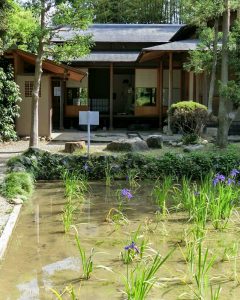 八橋のかきつばた、無量寿寺、5月の夏の花、愛知県知立市の観光・撮影スポットの画像と写真