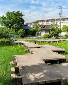 八橋のかきつばた、無量寿寺、5月の夏の花、愛知県知立市の観光・撮影スポットの画像と写真