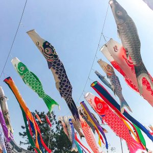 八剱神社、鯉のぼり、4月春、愛知県蒲郡市の観光・撮影スポットの画像と写真