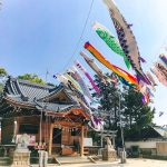 八剱神社、鯉のぼり、4月春、愛知県蒲郡市の観光・撮影スポットの画像と写真