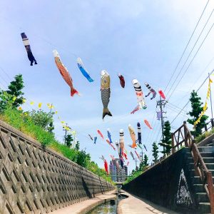 代田川鯉のぼり、4月春、豊川市の観光・撮影スポットの画像と写真