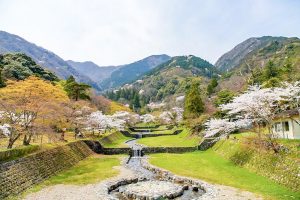 養老公園、桜、3月春の花、岐阜県養老郡の観光・撮影スポットの画像と写真