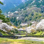 養老公園、桜、3月春の花、岐阜県養老郡の観光・撮影スポットの画像と写真