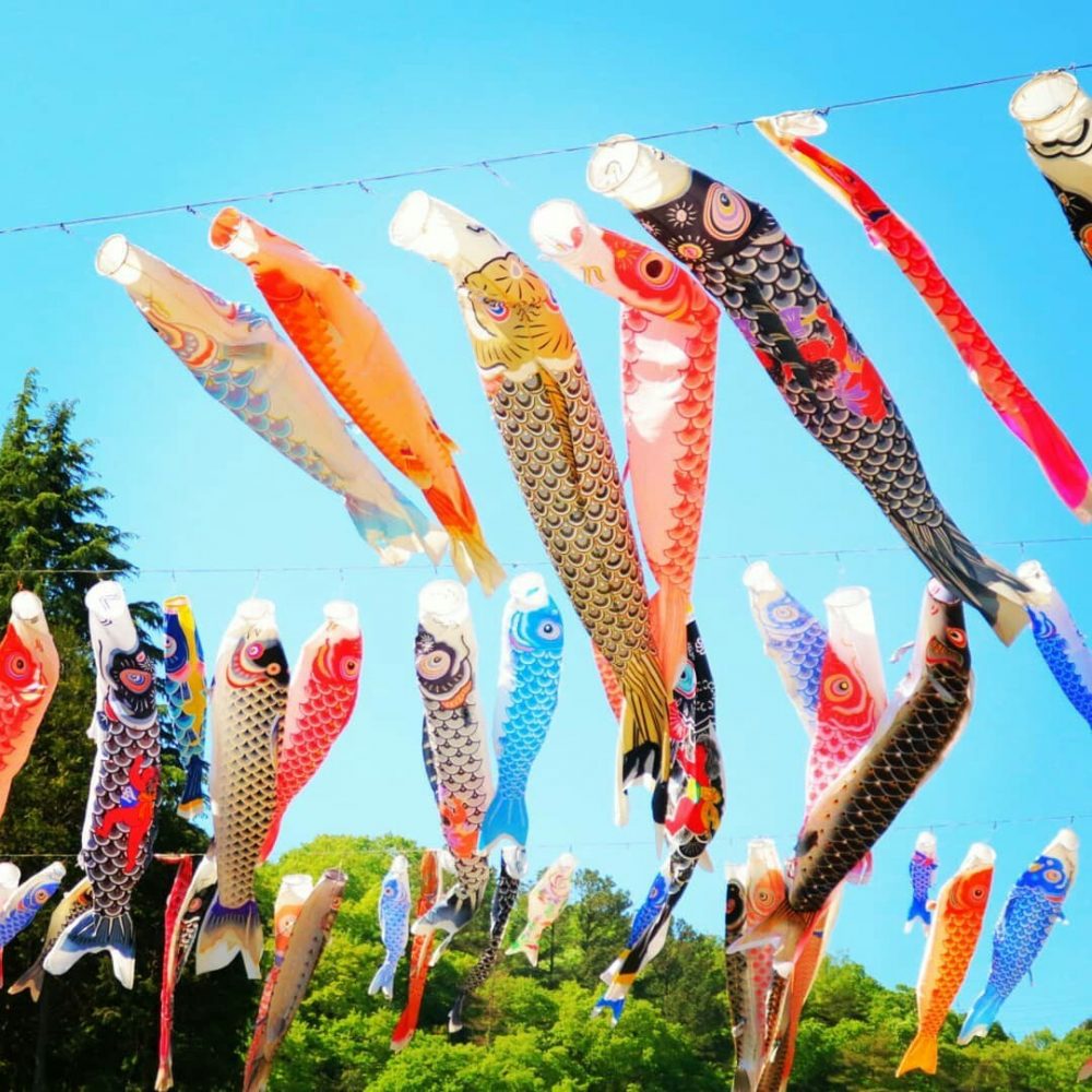 瑞浪市民公園、鯉のぼり、5月夏、岐阜県瑞浪市の観光・撮影スポットの画像と写真