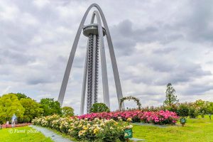 138タワーパーク、バラ園5月夏の花、愛知県一宮市の観光・撮影スポットの画像と写真
