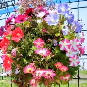 油ヶ淵水辺公園・ 自然ふれあい生態園、4月春の花、愛知県安城市の観光・撮影スポットの画像と写真