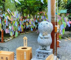 安城七夕まつり、8月夏のお祭、愛知県安城市の観光・撮影スポットの画像と写真
