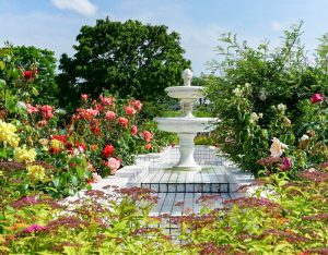 ばら公園いこいの広場、5月夏の花、岐阜県安八郡の観光・撮影スポットの画像と写真