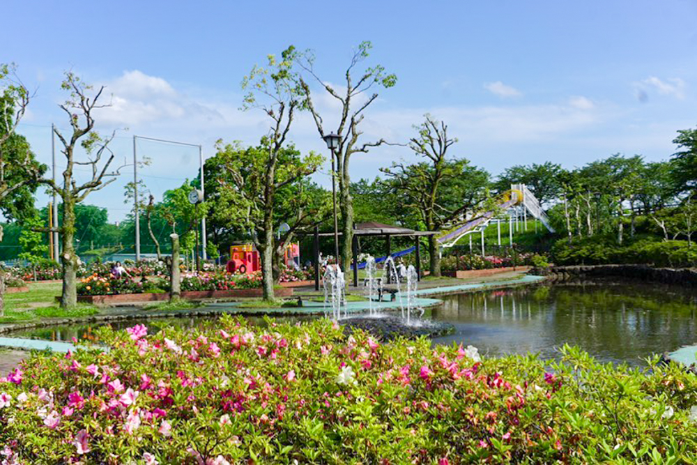 ばら公園いこいの広場、5月夏の花、岐阜県安八郡の観光・撮影スポットの画像と写真