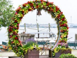 ブルーボネット、5月夏の花、名古屋市港区の観光・撮影スポットの画像と写真
