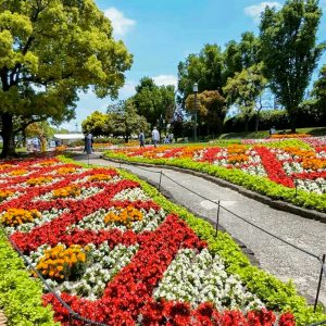 デンパーク、4月春の花、愛知県安城市の観光・撮影スポットの画像と写真