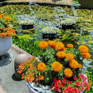 デンパーク、4月春の花、愛知県安城市の観光・撮影スポットの画像と写真