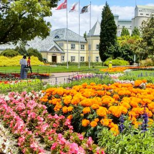 デンパーク、4月春の花、愛知県安城市の観光・撮影スポットの画像と写真