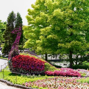 安城産業文化公園 デンパーク、5月の夏の花、愛知県安城市の観光・撮影スポットの画像と写真