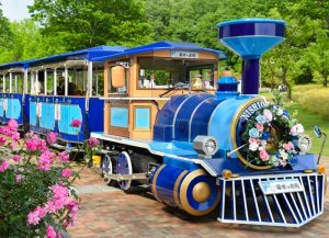 花フェスタ記念公園、バラまつり、5月夏の花、岐阜県可児市の観光・撮影スポットの名所