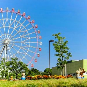 岩ヶ池公園、あじさい、6月夏の花、愛知県刈谷市の観光・撮影スポットの画像と写真