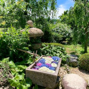 かざはやの里、あじさい、6月夏の花、三重県津市の観光・撮影スポットの画像と写真
