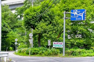 鞍ヶ池公園、あじさい、6月夏の花、愛知県豊田市の観光・撮影スポットの画像と写真
