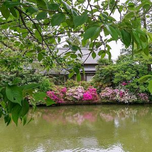 九華公園、つつじ、6月夏の花、三重県桑名市の観光・撮影スポットの画像と写真