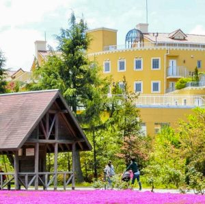 ミササガパーク、芝桜、5月夏の花、愛知県刈谷市の観光・撮影スポットの画像と写真