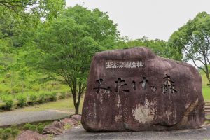 みたけの森、サみたけの森、6月、岐阜県可児市の観光・撮影スポットの画像と写真サユリ、6月夏の花、岐阜県可児市の観光・撮影スポットの画像と写真
