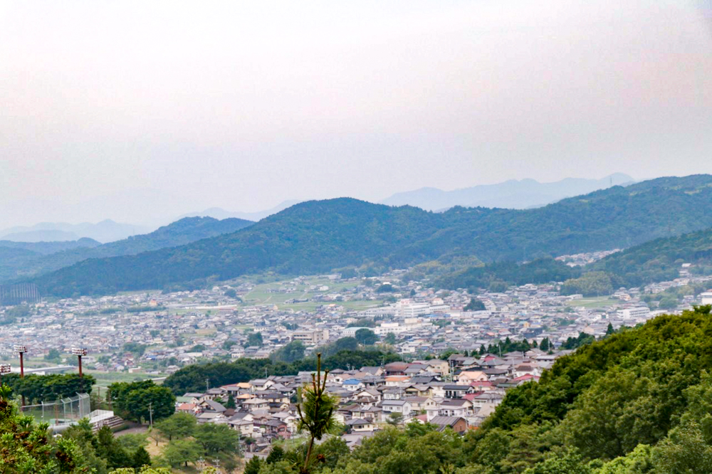 みたけの森、6月夏の花、岐阜県可児市の観光・撮影スポットの画像と写真