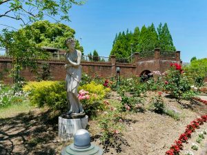 長良公園、バラ、6月夏の花、岐阜県岐阜市の観光・撮影スポットの画像と写真