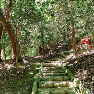 南宮大社、６月夏、岐阜県不破郡の観光・撮影スポットの画像と写真