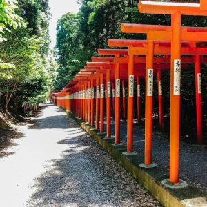 南宮大社、６月夏、岐阜県不破郡の観光・撮影スポットの画像と写真